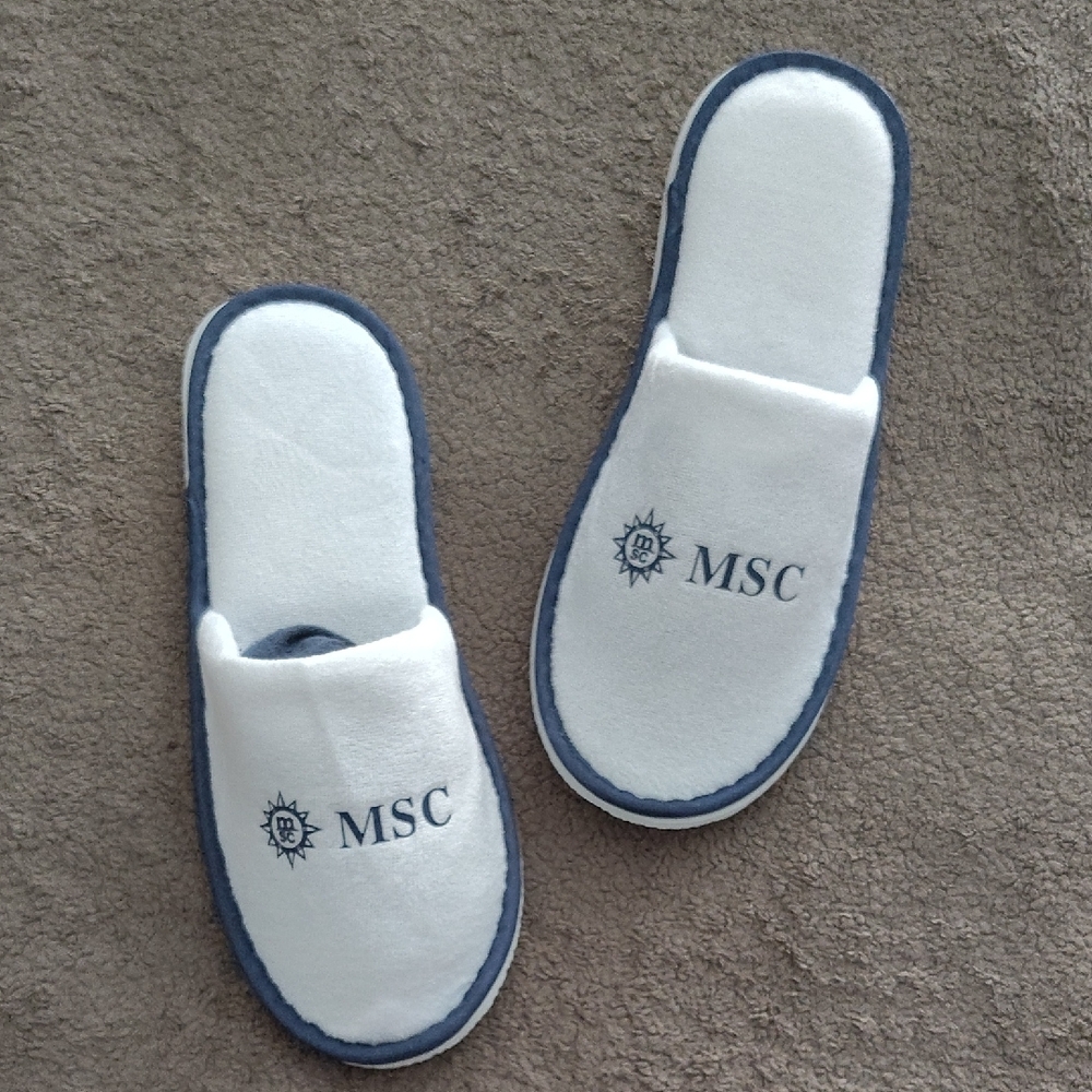 White and Blue Women's Slippers